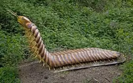 Phát hiện 'quái vật' bị phong ấn trong khối đá cổ, chuyên gia sửng sốt vì...