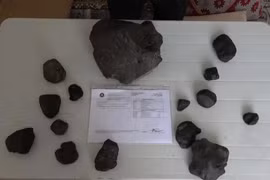 Đi hái nấm, bất ngờ trúng số nhặt được 'báu vật' Trời ban