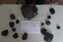 Đi hái nấm, bất ngờ trúng số nhặt được 'báu vật' Trời ban