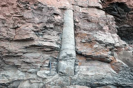 Các hiện tượng kỳ lạ, bí ẩn mà khoa học chưa giải thích được