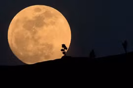 Hiện tượng thiên văn kỳ thú "siêu trăng xanh" sẽ xuất hiện đêm 19-20/8