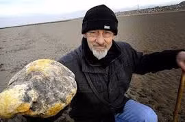 Chất thải động vật đắt nhất hành tinh, có tiền chưa chắc mua được