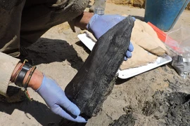 Khúc gỗ 500.000 tuổi hé lộ điều 'không tưởng' về người tiền sử