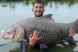 Võ sĩ Sergio Pettis đã bắt được một con cá chép Xiêm khổng lồ nặng gần 60kg