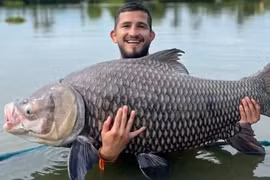 Võ sĩ Sergio Pettis đã bắt được một con cá chép Xiêm khổng lồ nặng gần 60kg
