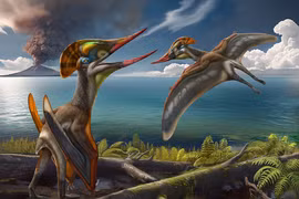 Quái vật nửa giống bò nửa giống chim lộ diện ở Trung Quốc