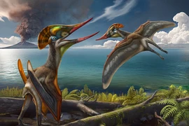 Quái vật nửa giống bò nửa giống chim lộ diện ở Trung Quốc