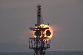 Biết gì về hiện tượng 'gấu trúc hoàng hôn'?