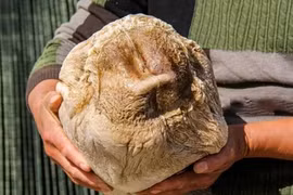 Người nông dân đổi đời khi đào được báu vật 