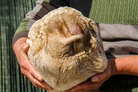 Người nông dân đổi đời khi đào được báu vật 