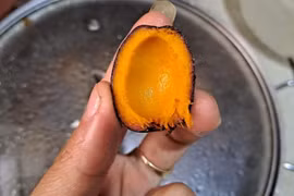 Loại quả rừng xưa ăn chống đói, giờ thành đặc sản 