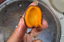 Loại quả rừng xưa ăn chống đói, giờ thành đặc sản 