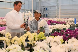 Báo Anh tiết lộ nơi ở của tỷ phú Jack Ma