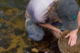 Người đàn ông lập tức làm việc này sau khi nhặt được nhẫn kim cương