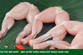 Món "gà đồng" nhiều người thích ăn nhưng cẩn thận kẻo ngộ độc