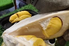 Giá sầu riêng cao ngất ngưởng dù xuất sang Trung Quốc chưa bao nhiêu