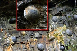 Những tảng đá thần kỳ nhất Trung Quốc: Biết nở hoa, đẻ trứng “sòn sòn” 