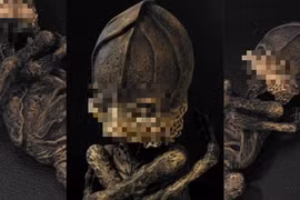 Giải mã bí ẩn “người lùn ngoài hành tinh” bị thất lạc từ 1990