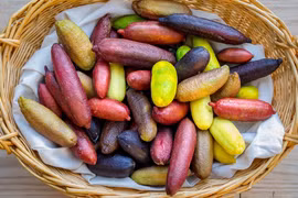 Việt Nam trồng được loại quả quý hiếm đắt đỏ bậc nhất thế giới