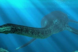 Quái vật hồ Loch Ness lộ diện, có băng hình ghi lại?