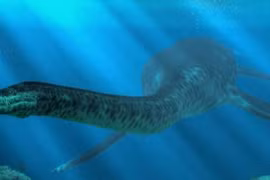 Quái vật hồ Loch Ness lộ diện, có băng hình ghi lại?