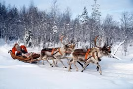 Hé lộ sự thật ít ai biết về Giáng sinh và ông già Noel 