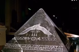 Loạt sự thật kinh ngạc không phải ai cũng biết