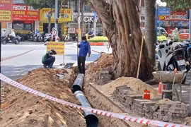 Gói thầu “xử lý các điểm ngập úng” tại Vũng Tàu đang thi công ra sao?