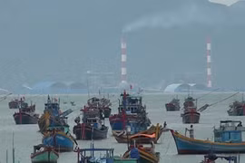 Dự án nhận chìm 1 triệu m3 bùn: Hàng loạt nhà khoa học bị mạo danh lên tiếng