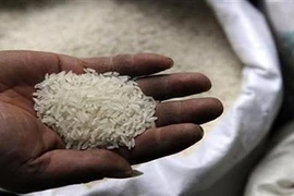 Đồng Tháp chính thức bác thông tin gạo giả