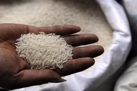 Đồng Tháp chính thức bác thông tin gạo giả