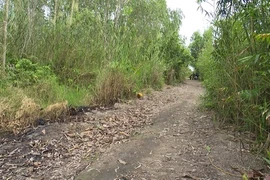 Lời khai lạnh người của nghi phạm sát hại bé gái, chôn xác phi tang