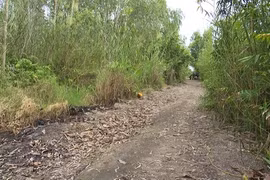 Lời khai lạnh người của nghi phạm sát hại bé gái, chôn xác phi tang