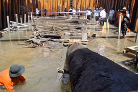 Bí ẩn nghĩa địa tàu cổ vật ở Quảng Ngãi