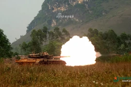 "Voi thép" đông đảo nhất của Lục quân Trung Quốc là loại nào?