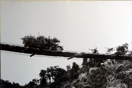 Đường mòn Hồ Chí Minh: Kỳ quan tuyệt vời trong CTVN