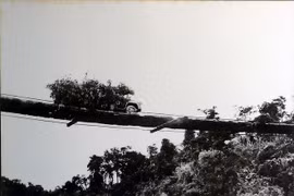 Đường mòn Hồ Chí Minh: Kỳ quan tuyệt vời trong CTVN