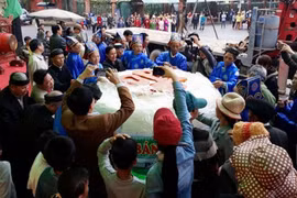 TP Sầm Sơn đề nghị làm bánh giầy kỷ lục dâng vua Hùng