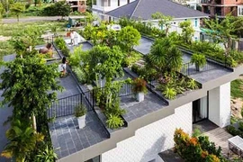 Chết mê mệt thiết kế vườn trên nóc biệt thự ở Nha Trang