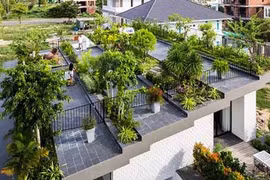 Chết mê mệt thiết kế vườn trên nóc biệt thự ở Nha Trang