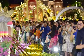 Hàng vạn người tham quan đường hoa Nguyễn Huệ trong đêm khai mạc