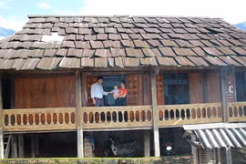 Vùng đất những ngôi nhà sàn cổ xưa thơm sực nức mùi gỗ pơ mu