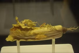 Đào được cây rau bán đầy chợ, lão nông bất ngờ được vinh danh