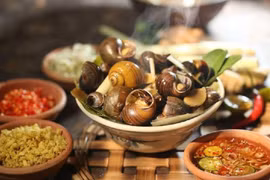 Lưu ý "vàng" khi ăn ốc để tránh rước bệnh vào người