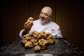 Báu vật của thiên nhiên có giá trên trời, nhiều người thèm muốn