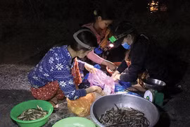 Soi đèn đi "chợ ma" bán đủ sản vật An Giang mùa nước nổi