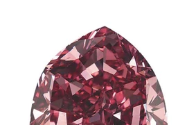 Chiêm ngưỡng những viên đá quý có giá đắt kỷ lục