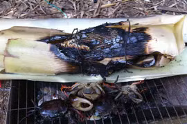 Một bữa trưa ăn món nhà quê Cao Lãnh