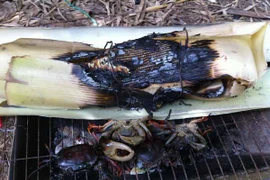 Một bữa trưa ăn món nhà quê Cao Lãnh