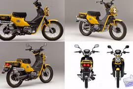 Cận cảnh Honda Cross Cub 110cc 2018 giá 13,5 triệu 